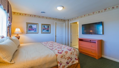 Suite Premier, 1 habitación