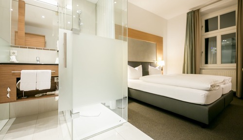 Habitación económica, 1 cama doble ((Business) Glass Wall Bathroom)
