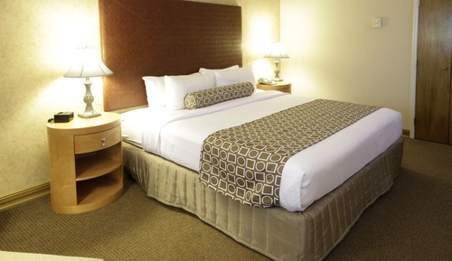 Habitación estándar, 1 cama de matrimonio grande