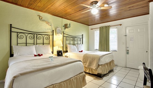 Habitación estándar, 2 camas dobles