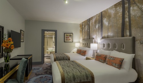 Habitación Premium, 2 camas dobles, acceso al Business Lounge (Lounge Access)