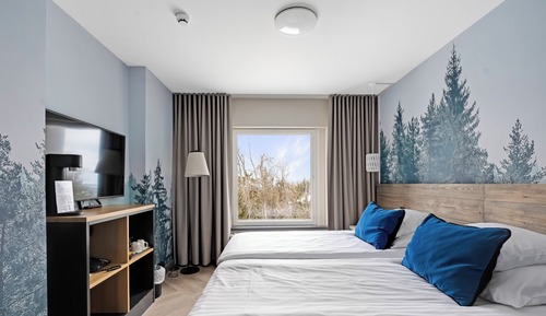 Habitación estándar, 1 cama de matrimonio grande
