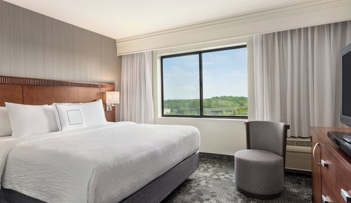 Suite, 1 cama de matrimonio grande con sofá cama