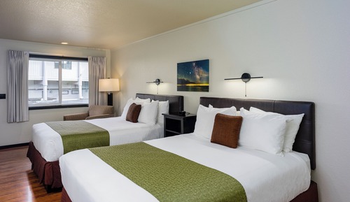 2 Queen Beds with Air Conditioning (Dog Friendly)