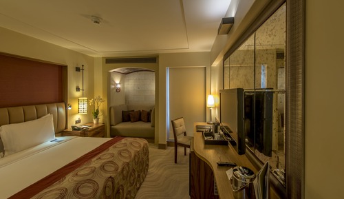 Habitación, 1 cama de matrimonio grande