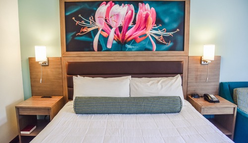 Habitación económica, 1 cama de matrimonio grande