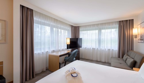 Habitación ejecutiva, 1 cama doble con sofá cama