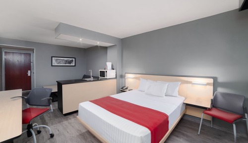 Suite, 1 cama de matrimonio con sofá cama