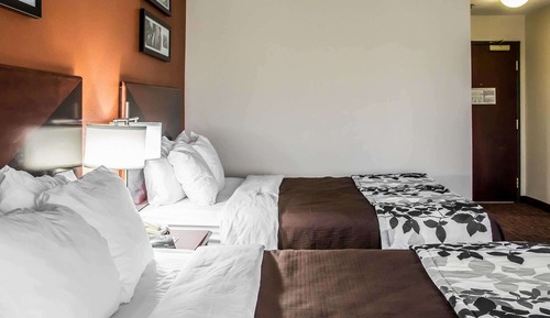 Habitación estándar, 2 camas de matrimonio, no fumadores