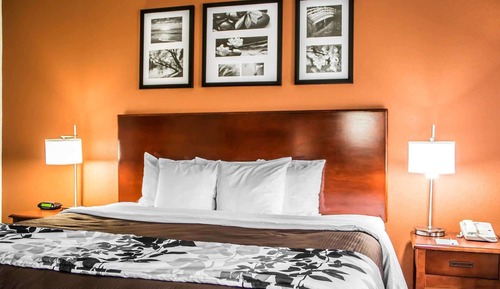 Suite, 1 cama de matrimonio grande, accesible para personas con discapacidad, no fumadores