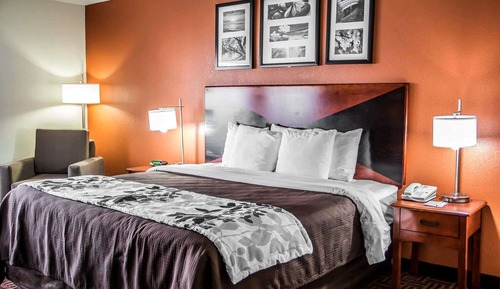 Habitación estándar, 1 cama de matrimonio grande, no fumadores