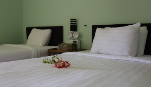 Habitación Deluxe con 2 camas individuales, vistas al jardín