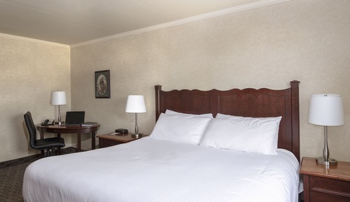 Habitación ejecutiva, 1 cama de matrimonio