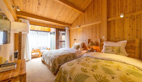 Habitación básica con 2 camas individuales