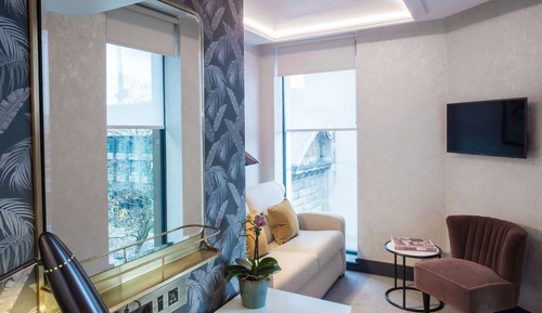 Suite estudio