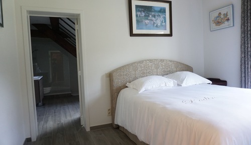 Habitación Deluxe doble (Rafael)