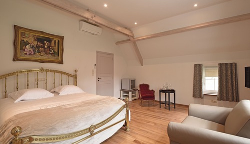 Habitación doble superior, 1 cama de matrimonio grande, en la zona del jardín