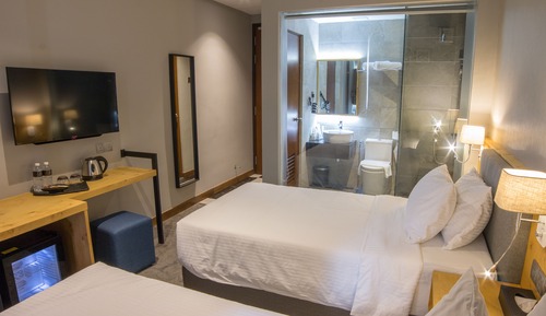 Habitación Deluxe con 2 camas individuales
