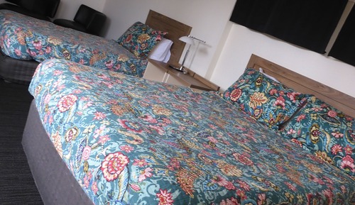 Habitación ejecutiva con 1 cama doble o 2 individuales