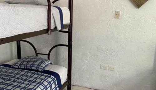 Habitación estándar, varias camas, vistas al jardín (Fan)