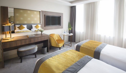 Deluxe Double Single Room