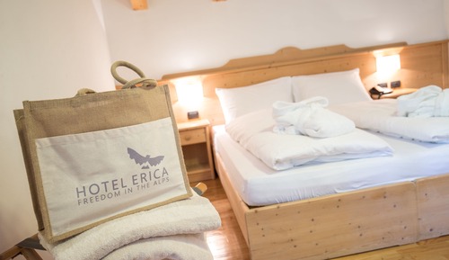 Habitación estándar con 1 cama doble o 2 individuales