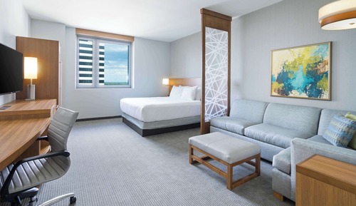 Suite, 1 cama de matrimonio grande con sofá cama (1 Bedroom)