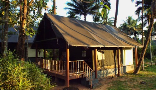 Tienda estándar