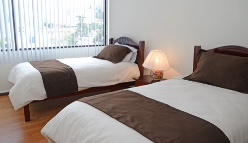 Suite ejecutiva, 2 camas individuales