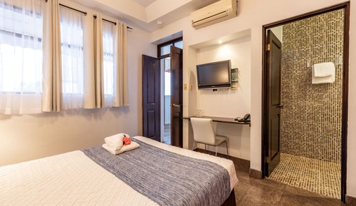 Habitación superior, baño privado (Superior Room)