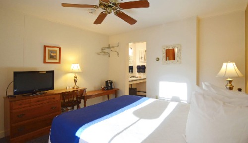 Habitación estándar, 1 cama de matrimonio, frigorífico, planta baja
