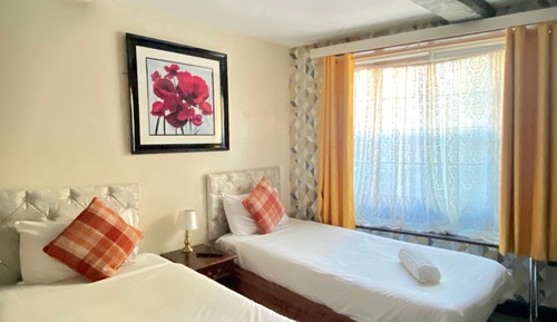 Habitación Deluxe con 2 camas individuales