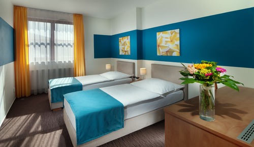 Habitación estándar con 1 cama doble o 2 individuales