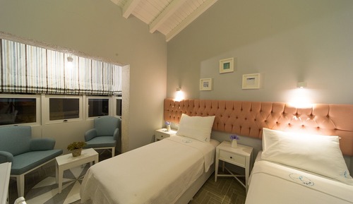 Habitación Deluxe con 2 camas individuales