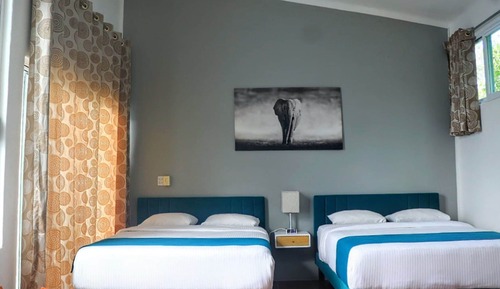 Junior Suite, Multiple Beds with Terrace and Kitchenette