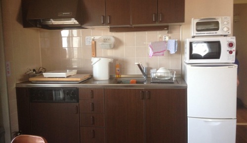 Apartamento tradicional, Se admiten mascotas (Japanese Style, B 402)