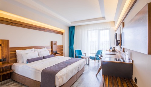 Superior Tek Büyük Yataklı Oda, Özel Banyo (Sadece Engelliler İçindir)