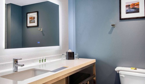 Habitación, 1 cama de matrimonio grande, accesible para personas con discapacidad (Roll-In Shower)