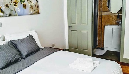Habitación doble, baño privado (Wet Room)