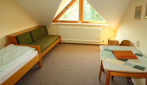 Habitación individual básica, 1 cama individual, no fumadores, vistas al jardín