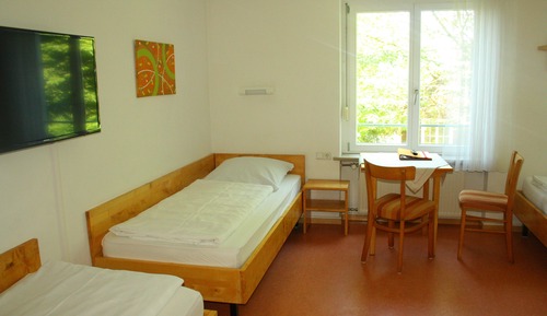 Habitación básica con 2 camas individuales, no fumadores, vistas al jardín