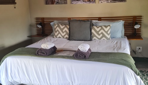 Habitación Premier doble