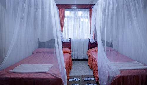 Habitación estándar con 2 camas individuales