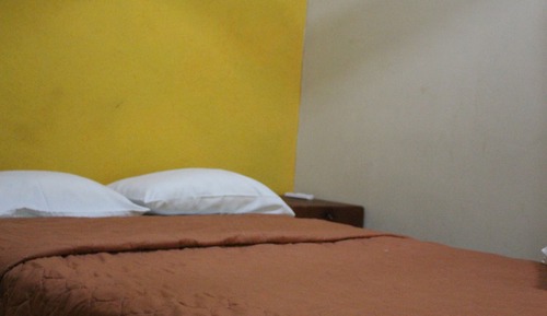 Habitación individual básica, 1 cama individual