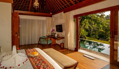 One Bedroom Villa Jungle view