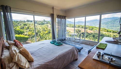 The Colibri Suite