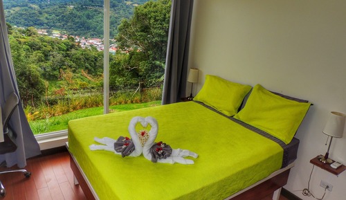 Basic Single Room, Mountain View