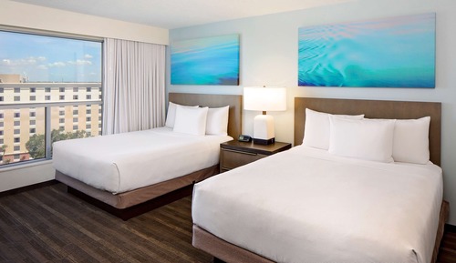 Suite, 1 habitación, cocina (2 Queen Beds with Sofa Bed, Specialty)