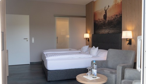 Habitación doble superior, 1 cama de matrimonio grande