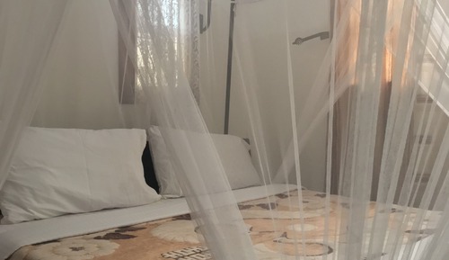 Habitación estándar doble, baño privado, planta baja